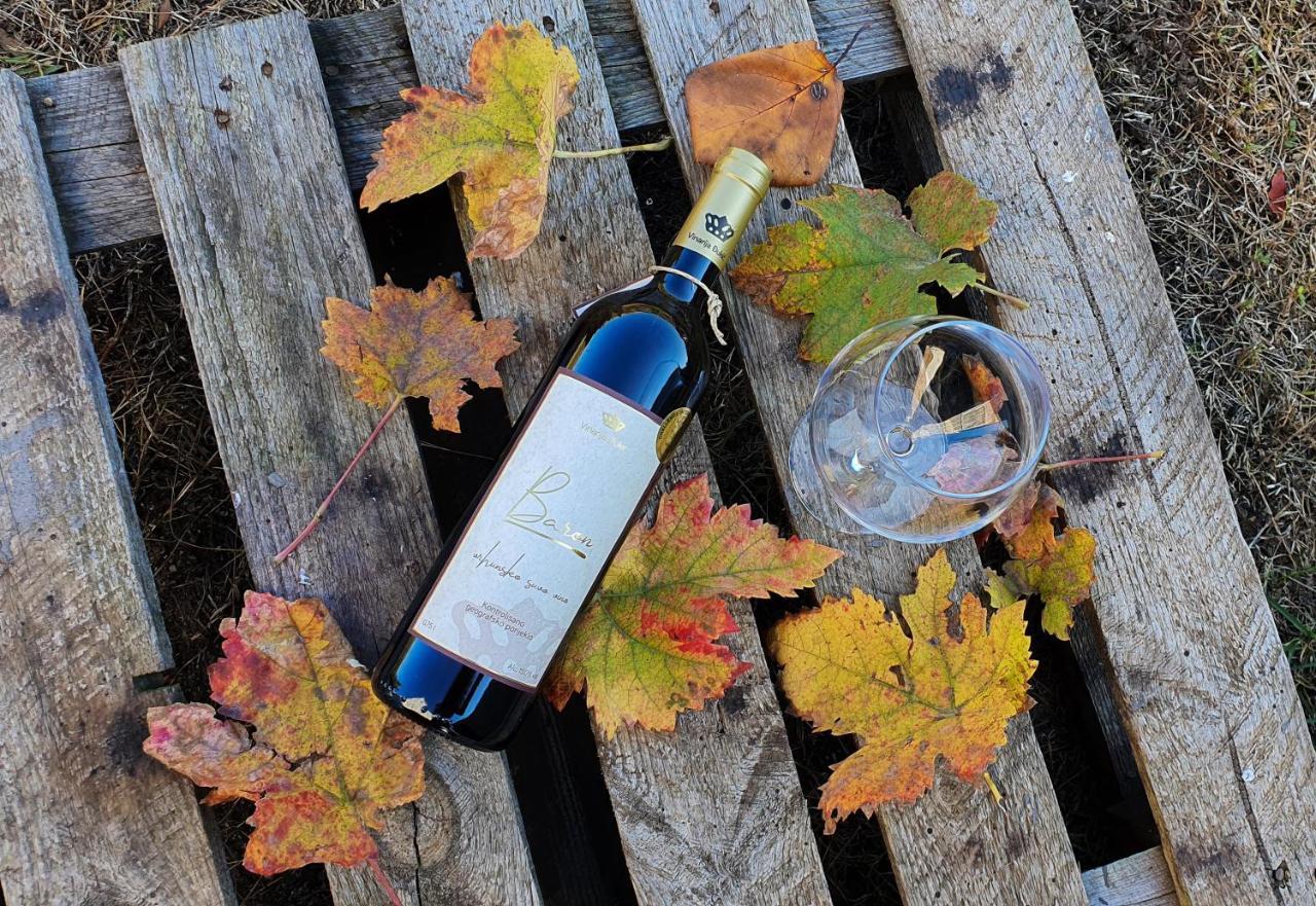 Djukic Winery Daire Podgoriçe Dış mekan fotoğraf