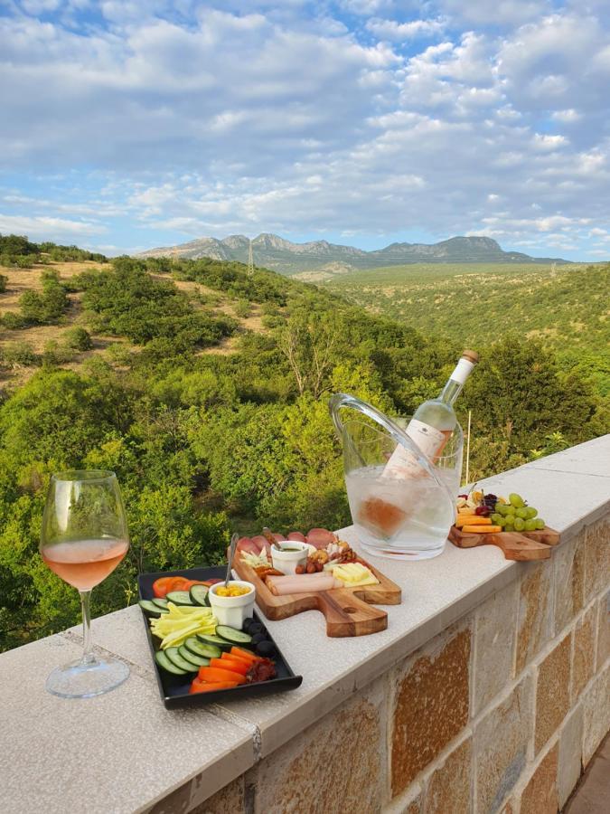 Djukic Winery Daire Podgoriçe Dış mekan fotoğraf